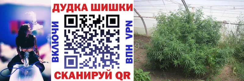 Шишки марихуана SATIVA & INDICA продажа наркотиков Гаврилов Посад